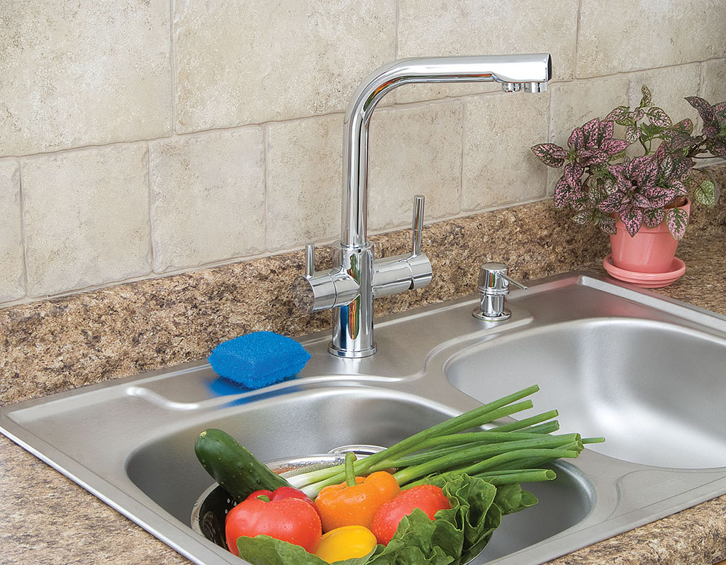 kitchen sink vegetable sprayer